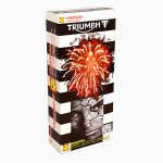 Triumph - Image 2