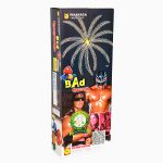 Bad Boy