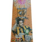 Hull city