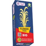 Flower Pots Big